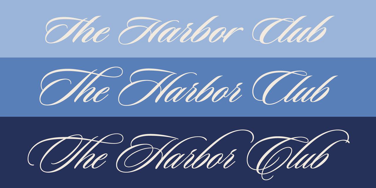 Sloop Script Pro Fonts | I Love Typography