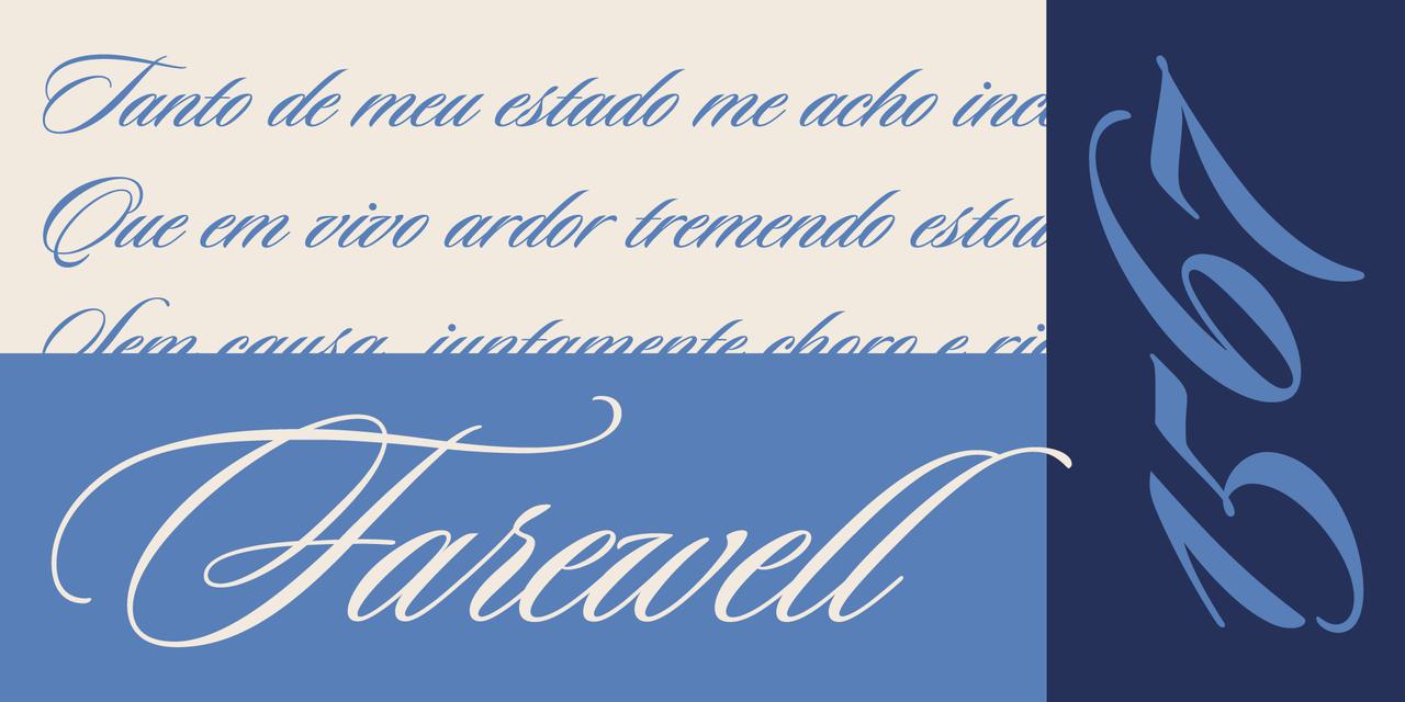 Sloop Script Pro Fonts - Explore the Family