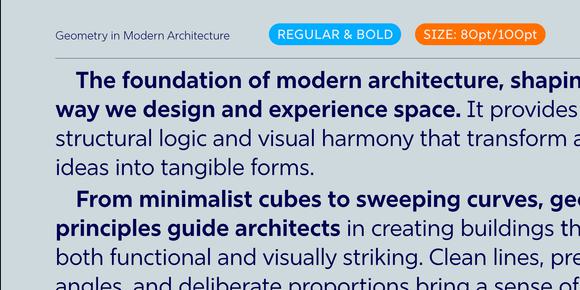 Rig Shaded Fonts - Explore the Family
