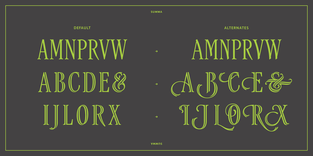 Summa Text Summa Fonts - Explore the Family